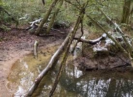 13.29+/-acres Unrestricted Wooded property with year round creek. Located on top of the Cumberland Plateau.