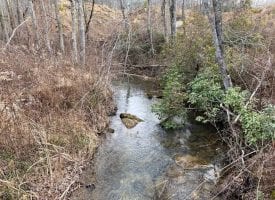 20.33+/-acres Flat to Rolling Property with Small Creek