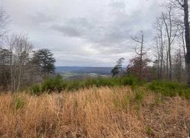 130+/-acres located on top of the beautiful South Pittsburg mountain with panoramic views overlooking Sherwood.