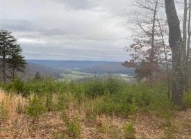 130+/-acres located on top of the beautiful South Pittsburg mountain with panoramic views overlooking Sherwood.