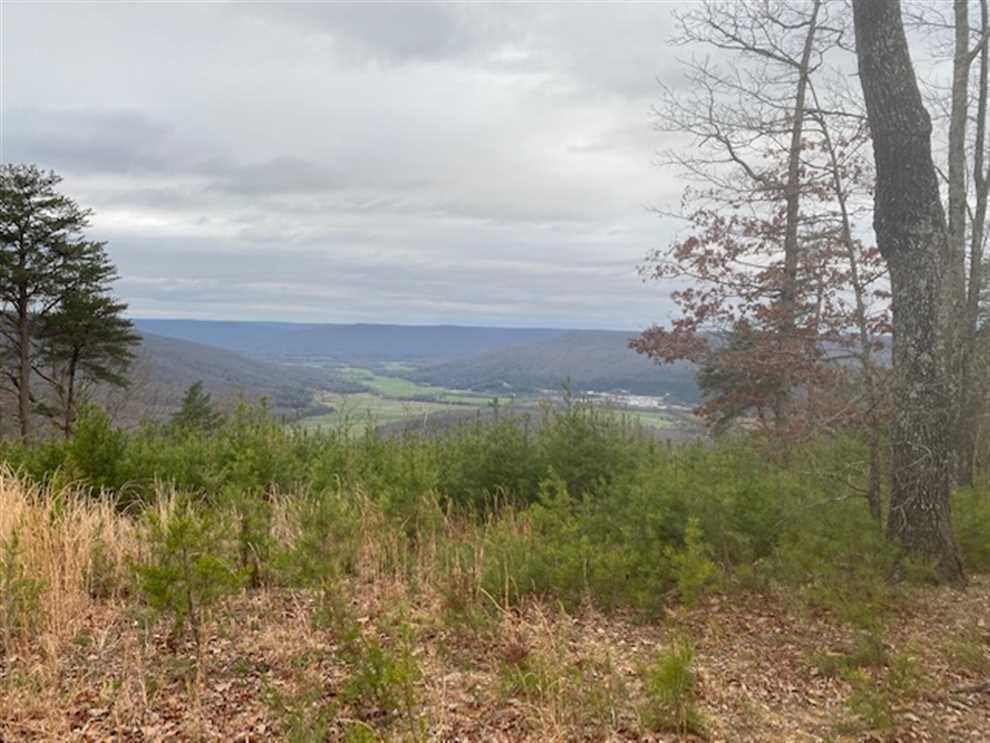 130+/acres located on top of the beautiful South Pittsburg mountain