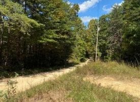 SOLD!! 139.94+/-acres perfect hunting tract or start a mini farm