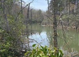 SOLD!! 139.94+/-acres perfect hunting tract or start a mini farm