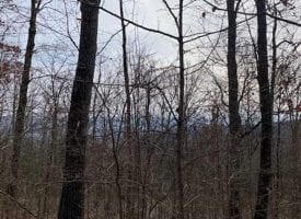 SOLD!! 18+/- Unrestricted acres of beautiful mountain property with amazing views of the Sequatchie Valley