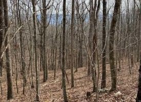 SOLD!! 18+/- Unrestricted acres of beautiful mountain property with amazing views of the Sequatchie Valley