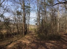 SOLD!! Come build your dream home on this 70+/-beautiful acres that borders over a half of mile of the Sequatchie River.
