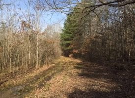 SOLD!! Come build your dream home on this 70+/-beautiful acres that borders over a half of mile of the Sequatchie River.