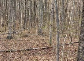 SOLD!! 5.00+/-acres wooded property with views of the Sequatchie Valley.