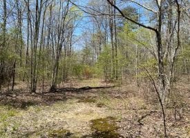 12.2+/-acres Beautiful Wooded property with your very own Lake.