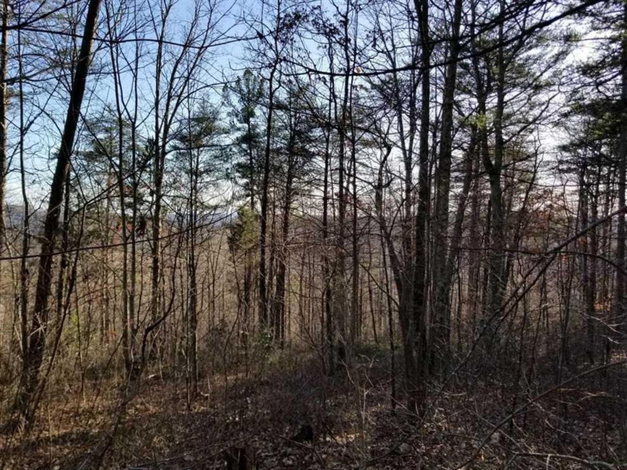 SOLD!! 200+/acres This Magnificent property offers the outdoor