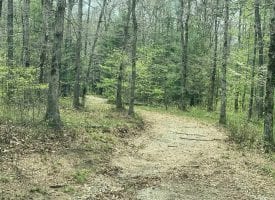 SOLD!! 10.00+/-acres unrestricted beautiful wooded lot with off the grid (2016) 327 sq. foot tiny home with loft.
