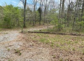 SOLD!! 10.00+/-acres unrestricted beautiful wooded lot with off the grid (2016) 327 sq. foot tiny home with loft.