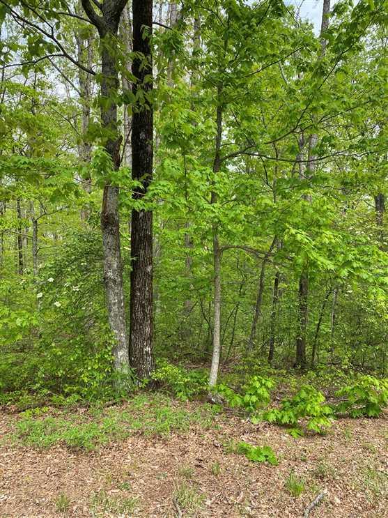 SOLD!! 3.06+/acres beautiful wooded property. Mossy Oak Properties