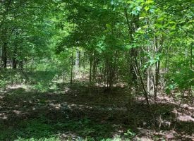 12.61+/-acres wooded property located on the Cumberland Plateau.