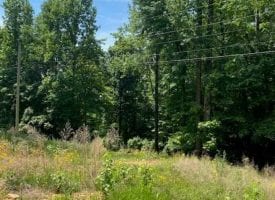 SOLD!! 3.1+/-acres wooded property with scenic views of downtown South Pittsburg