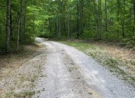 SOLD!! 10.51+/-acres Beautiful wooded Lake property located in the reputable Blueberry Bluffs