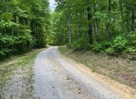 5.04+/-acres Beautiful wooded property located in the reputable Blueberry Bluffs