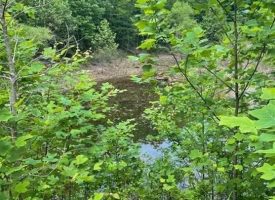 4.00+/-acres Beautiful wooded property with small pond located in the reputable Blueberry Bluffs.