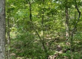 5.81+/-acres Beautiful wooded property located in the reputable Blueberry Bluffs.