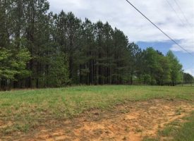 SOLD!! 7.4+/-acres.Beautiful lot in the much desirable Ridges at Franklin Forest
