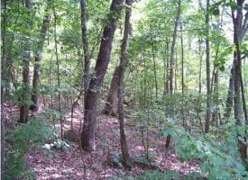 SOLD!! 5.00+/-acres with Incredible view and close to Chattanooga