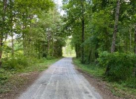 SOLD!! 5.22+/-acres Unrestricted Wooded property
