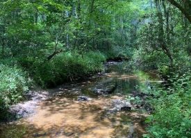 SOLD!! 4.3+/-acres Unrestricted Wooded Property