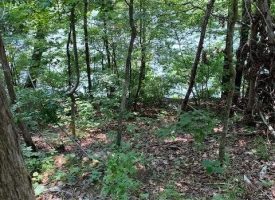 SOLD!! 3.37+/-acres Unrestricted  beautiful river front property