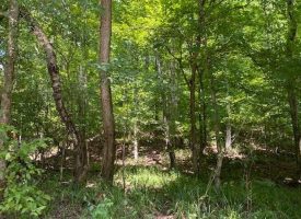 6.06+/-acres Wooded Property Perfect for Hunting