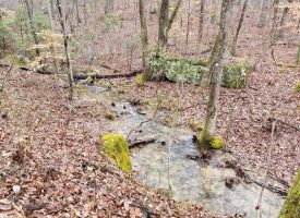 SOLD!! 19.88 Perfect Hunting Property Bordering State Land