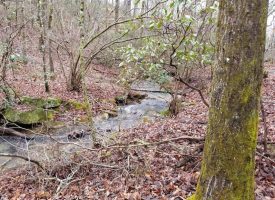 19.88 Perfect Hunting Property Bordering State Land