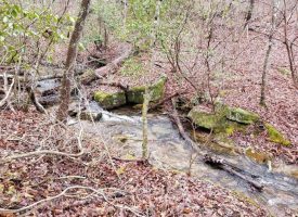 19.88 Perfect Hunting Property Bordering State Land