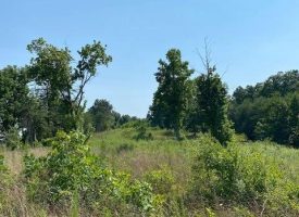 40.75+/-acres with incredible views of the Sequatchie Valley.