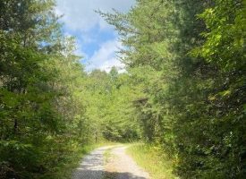 SOLD!! 5.56+/-acres Beautiful wooded tract adjoining the Cherokee National Forest