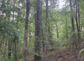 SOLD!! 10.75+/-acres Wooded property. Excellent place to build a home with scenic views of the Tennessee Mountains