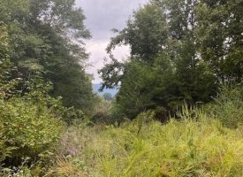 SOLD!! 10.75+/-acres Wooded property. Excellent place to build a home with scenic views of the Tennessee Mountains