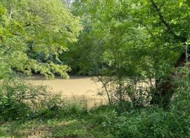 SOLD!! 37.7+/-acres beautiful riverfront property.