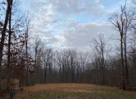 SOLD!! 28.7+/-acres Unrestricted Beautiful Wooded property