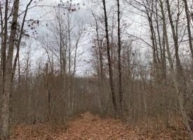 SOLD!! 28.7+/-acres Unrestricted Beautiful Wooded property