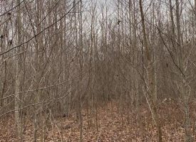 28.7+/-acres Unrestricted Beautiful Wooded property
