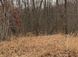28.7+/-acres Unrestricted Beautiful Wooded property