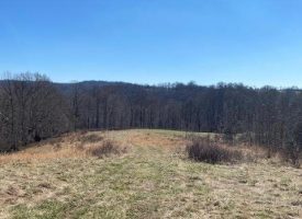 25.66+/- acres with rolling hills featuring scenic mountain and Lake views