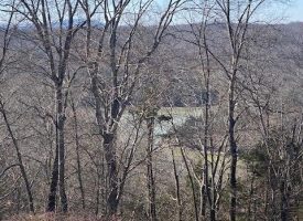 27.34+/- acres with rolling hills featuring scenic mountain and Lake views
