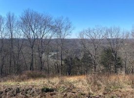 27.34+/- acres with rolling hills featuring scenic mountain and Lake views