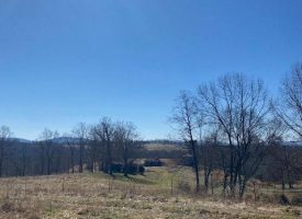 19.15 +/- acres with rolling hills featuring scenic mountain views near Dale Hollow Lake