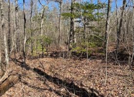 SOLD!! 5.72+/-acres Unrestricted property with a creek