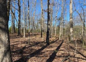 SOLD!! 0.70+/-acre unrestricted wooded property.