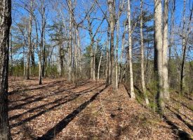 SOLD!! 0.70+/-acre unrestricted wooded property.