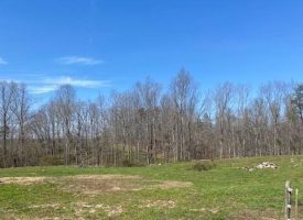 SOLD!! 27.7+/-acres Beautiful Pasture and Woods