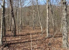 SOLD!! 81+/-acres Unrestricted Property with Views